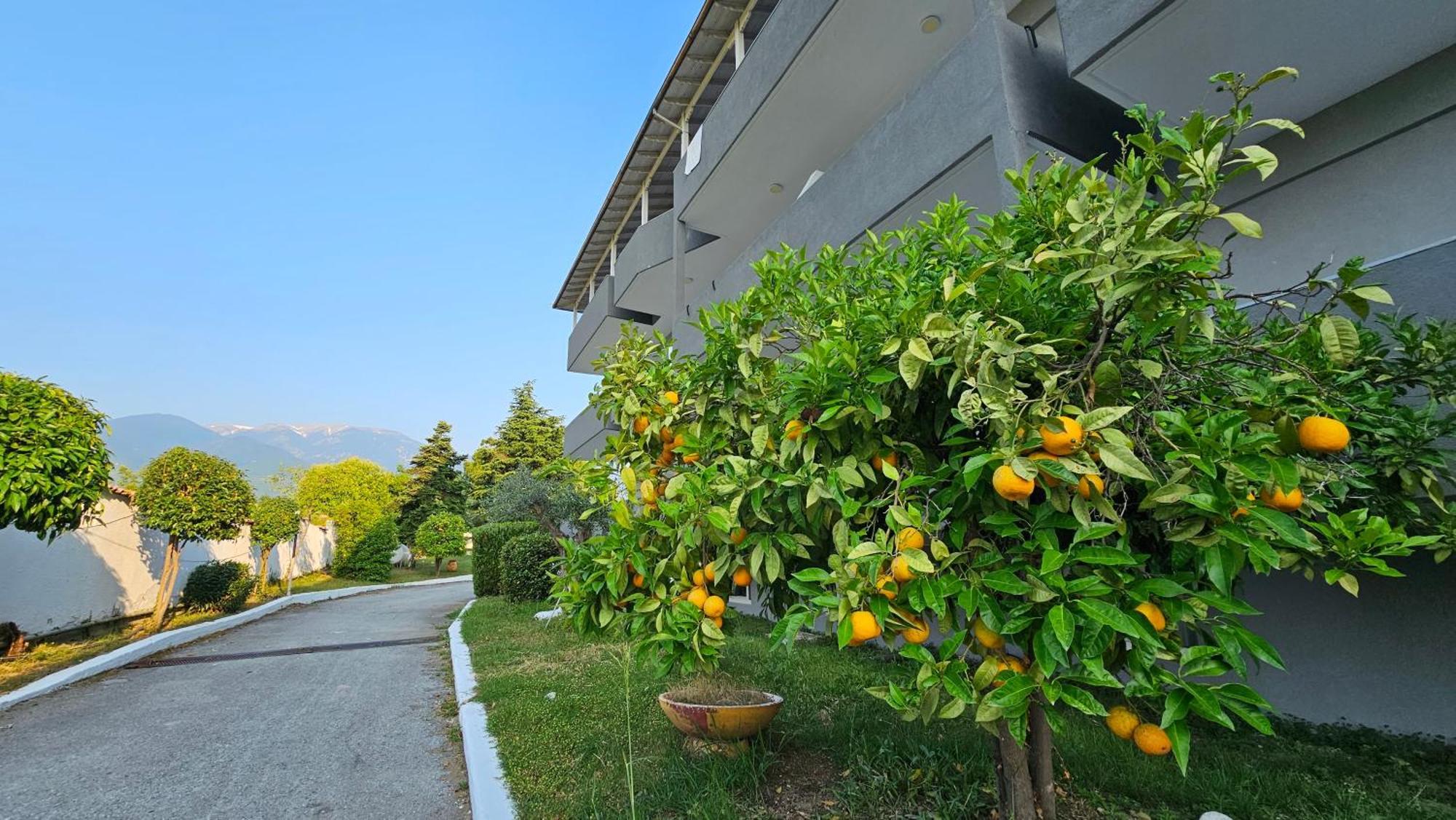 Great Alexander Hotel Litochoro Exterior foto